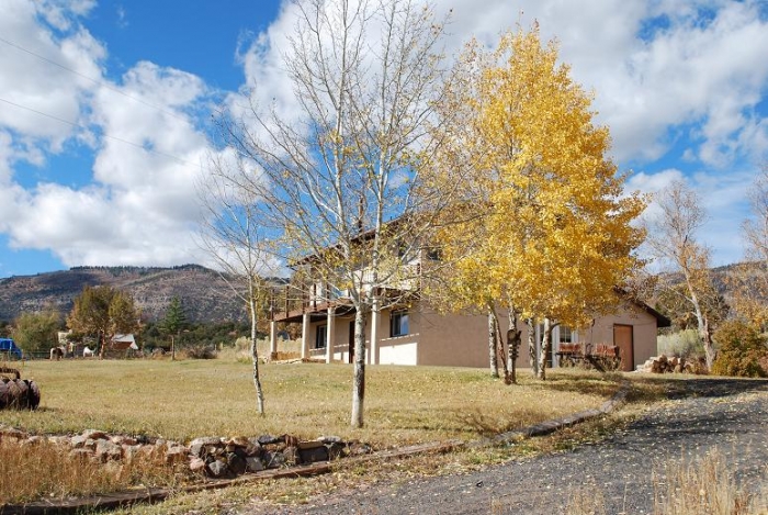 Colorful trees outside your Home